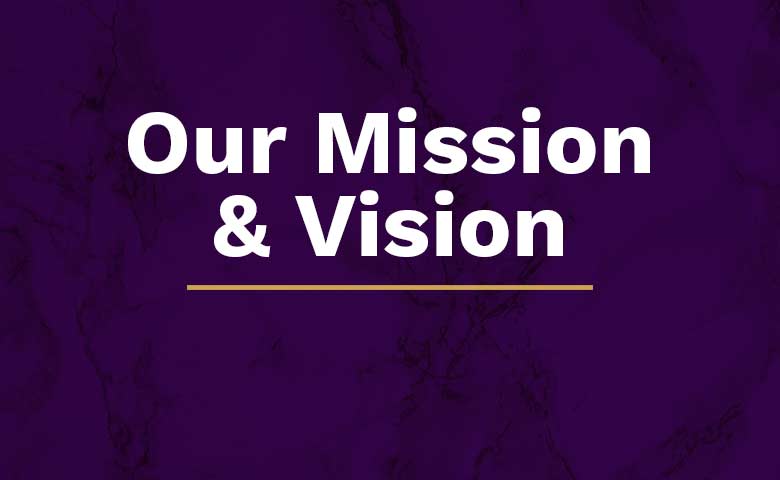 mission and vision box